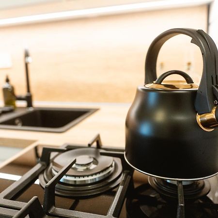 Franz Josef Apartmany, Apartman Zita Decin Zewnętrze zdjęcie