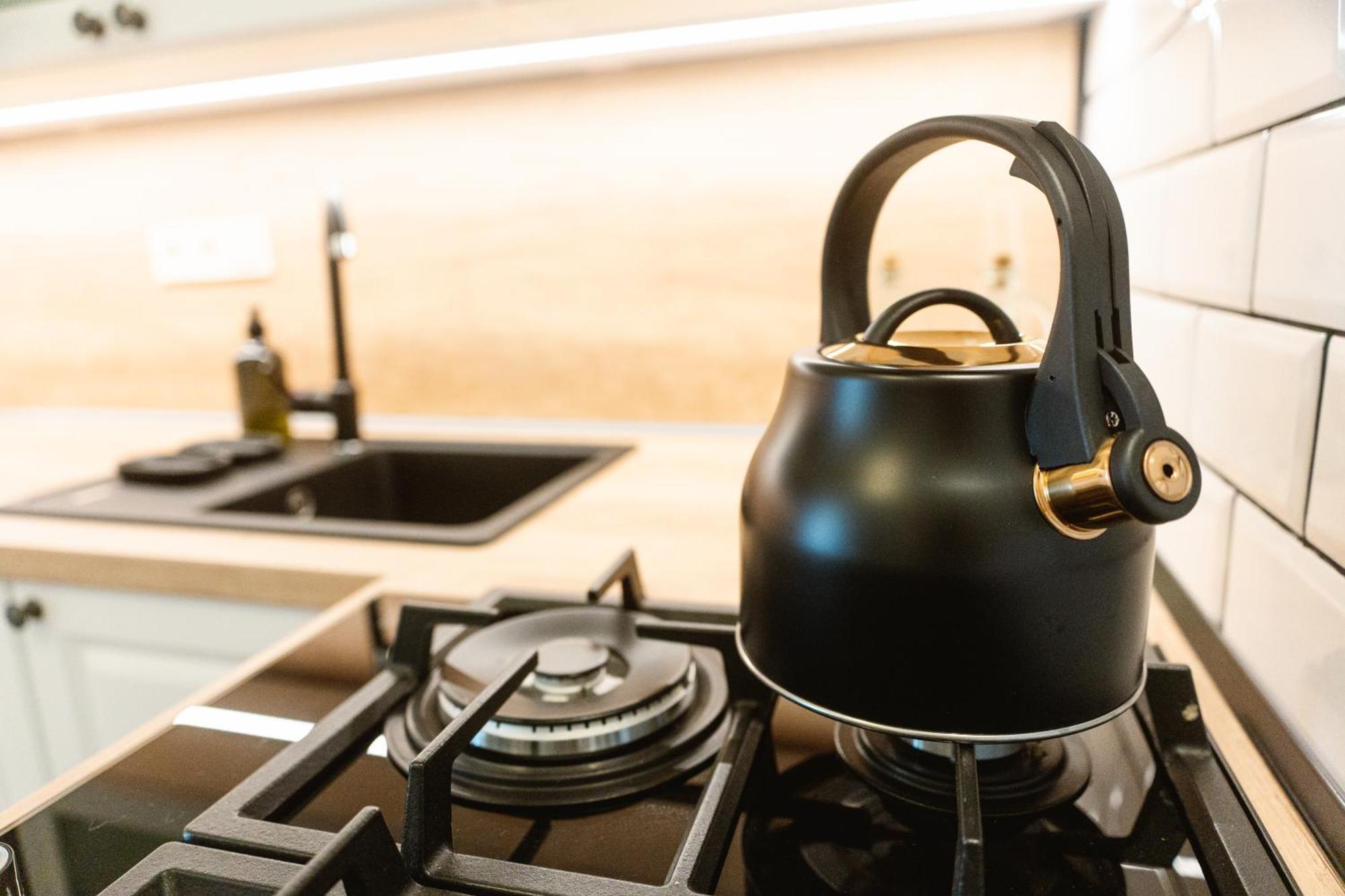 Franz Josef Apartmany, Apartman Zita Decin Zewnętrze zdjęcie