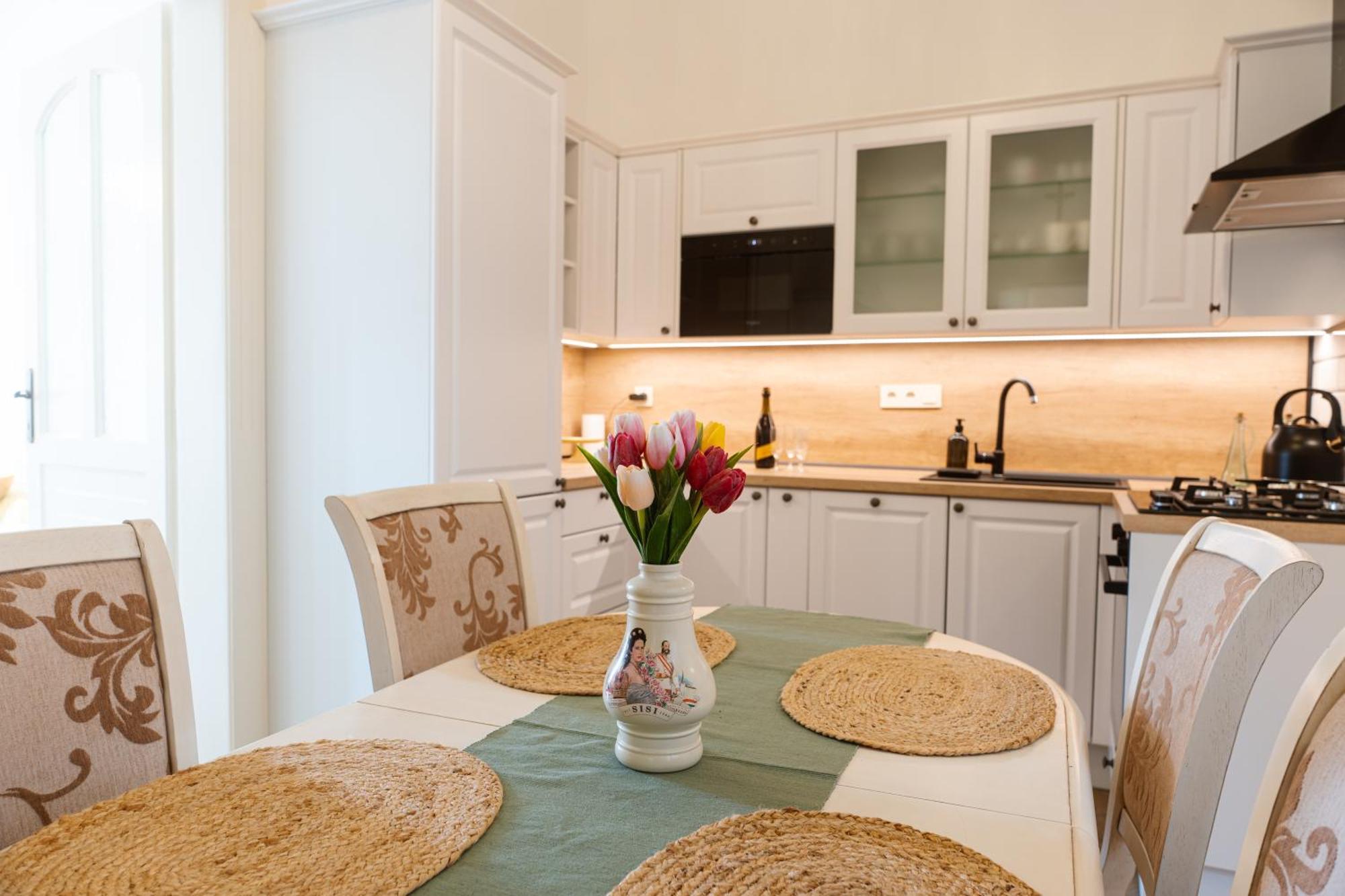 Franz Josef Apartmany, Apartman Zita Decin Zewnętrze zdjęcie