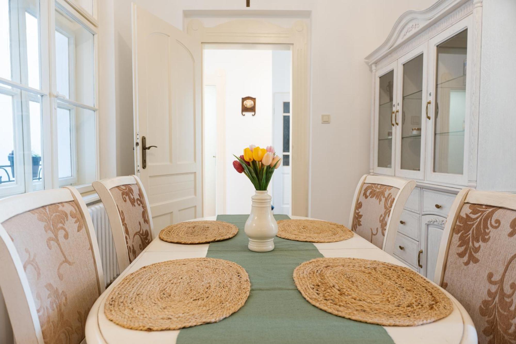 Franz Josef Apartmany, Apartman Zita Decin Zewnętrze zdjęcie
